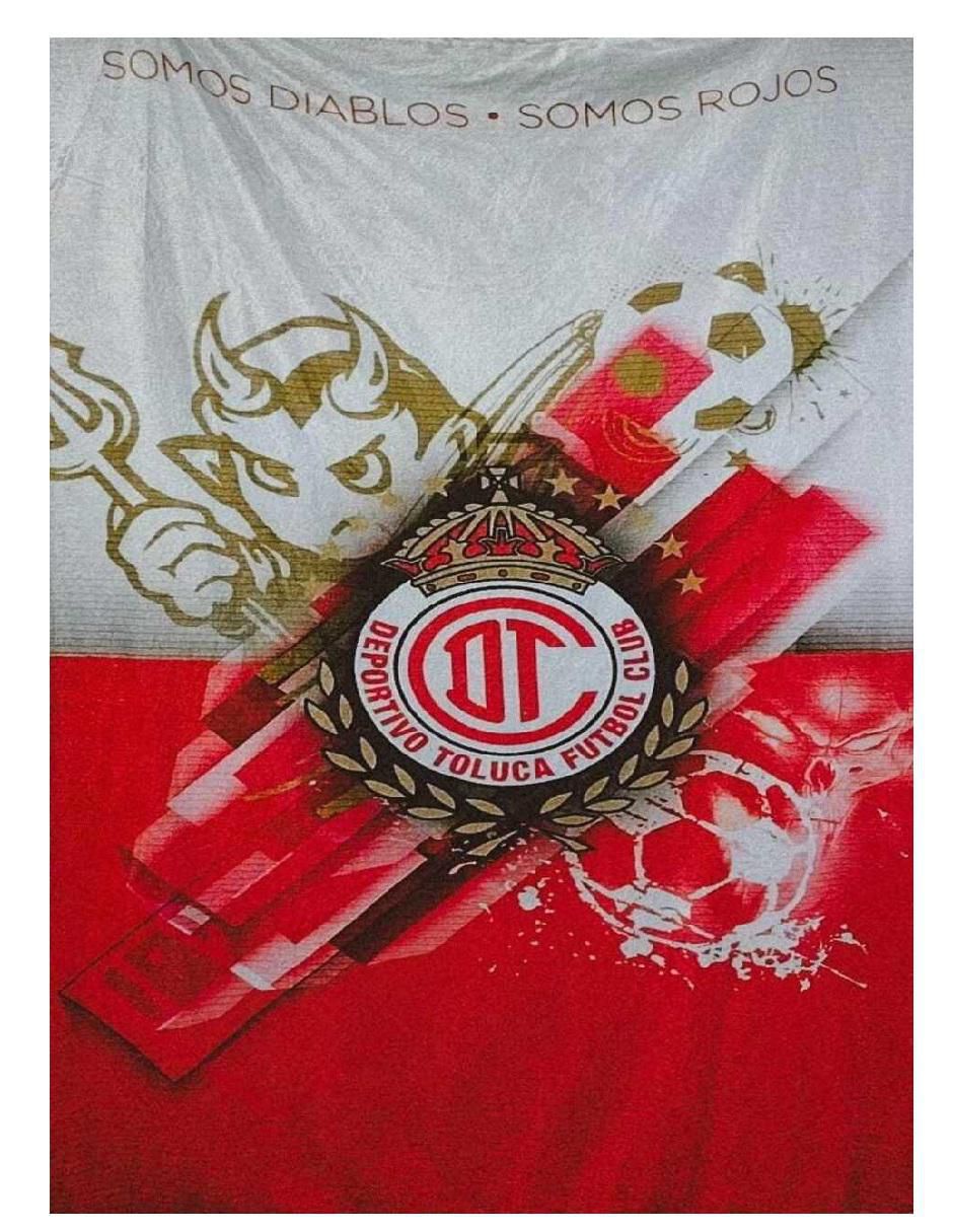 Cobija de tejido suave Diablos Toluca Soccer 1