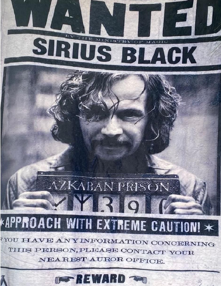Cobija de tejido suave Harry Potter Y El Prisionero De Azkaban