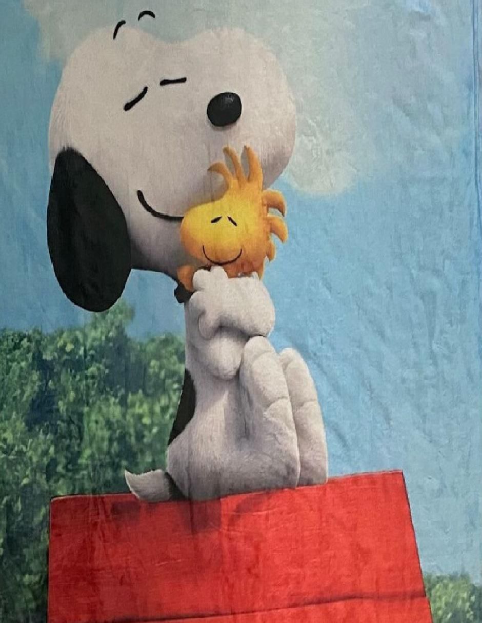 Cobija de tejido suave Snoopy Snoopy Y Woodstock 2