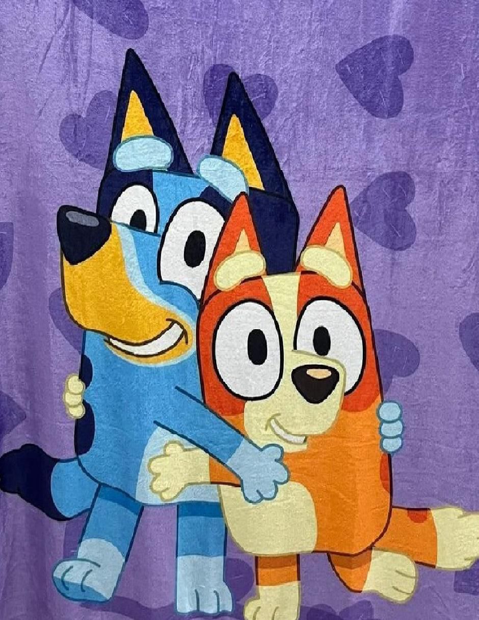 Cobija de tejido suave Bluey 2