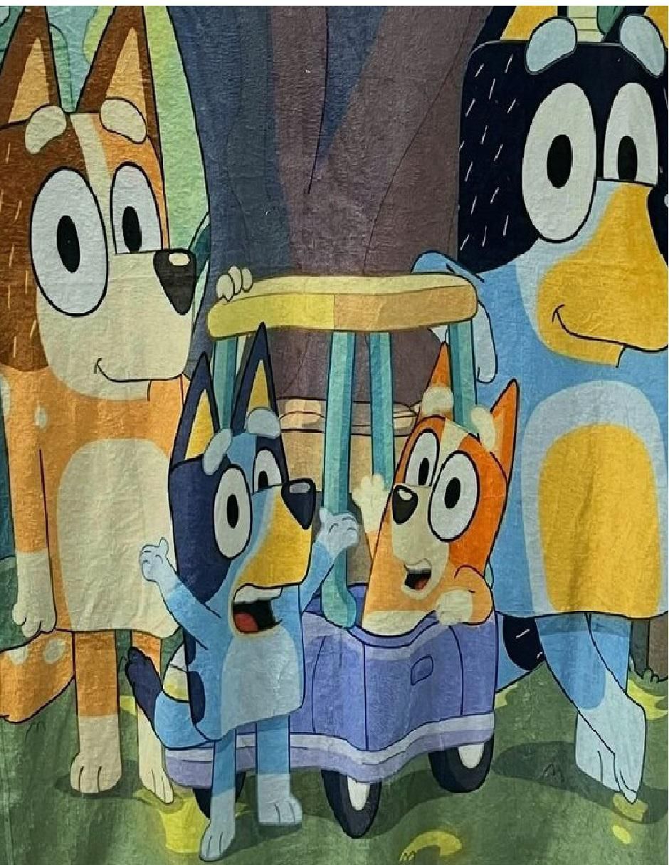 Cobija de tejido suave Bluey 2
