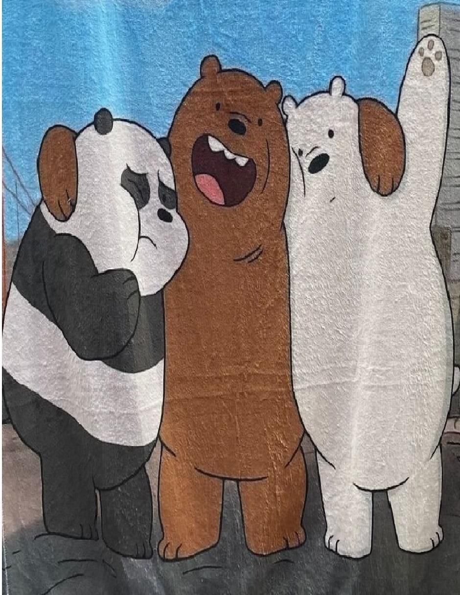 Cobija de tejido suave We Bare Bears 2