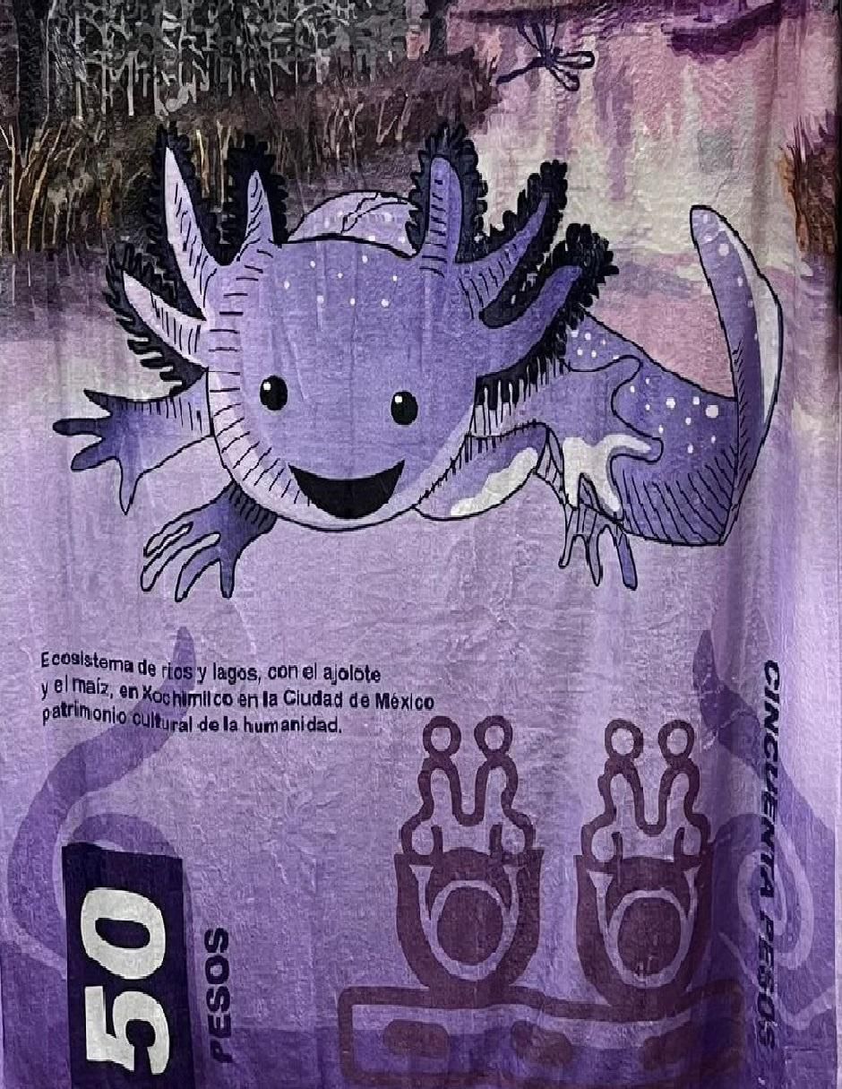 Cobija de tejido suave Ajolote 2