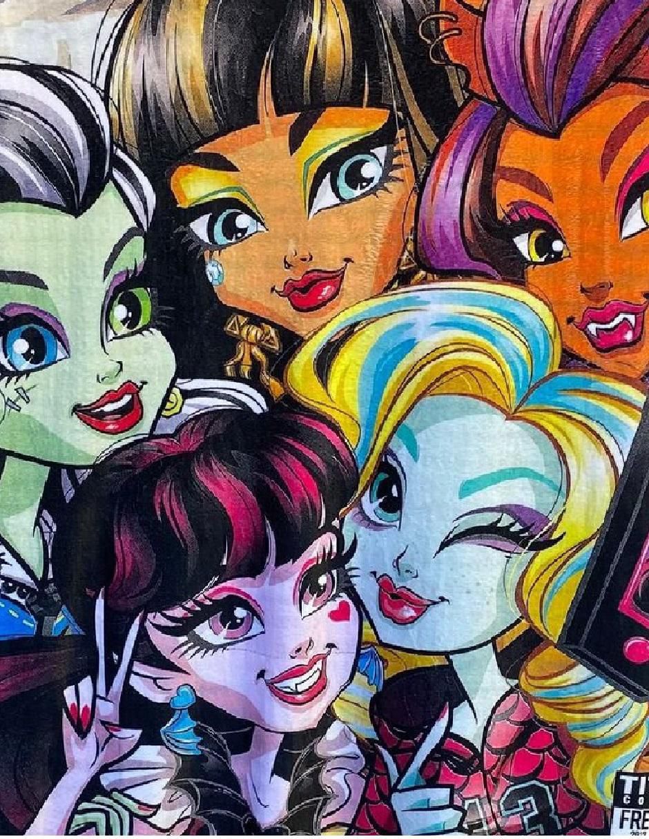 Cobija de tejido suave Monster High 2